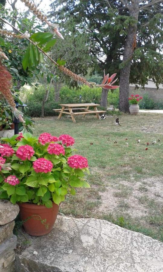 סטורניה Agriturismo Le Stiacce מראה חיצוני תמונה