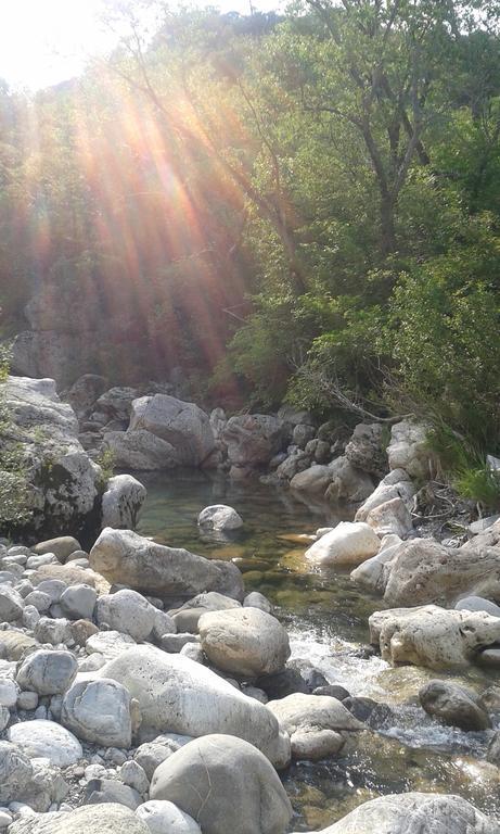 סטורניה Agriturismo Le Stiacce מראה חיצוני תמונה
